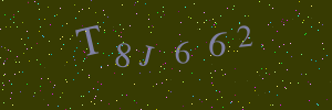 Validation image